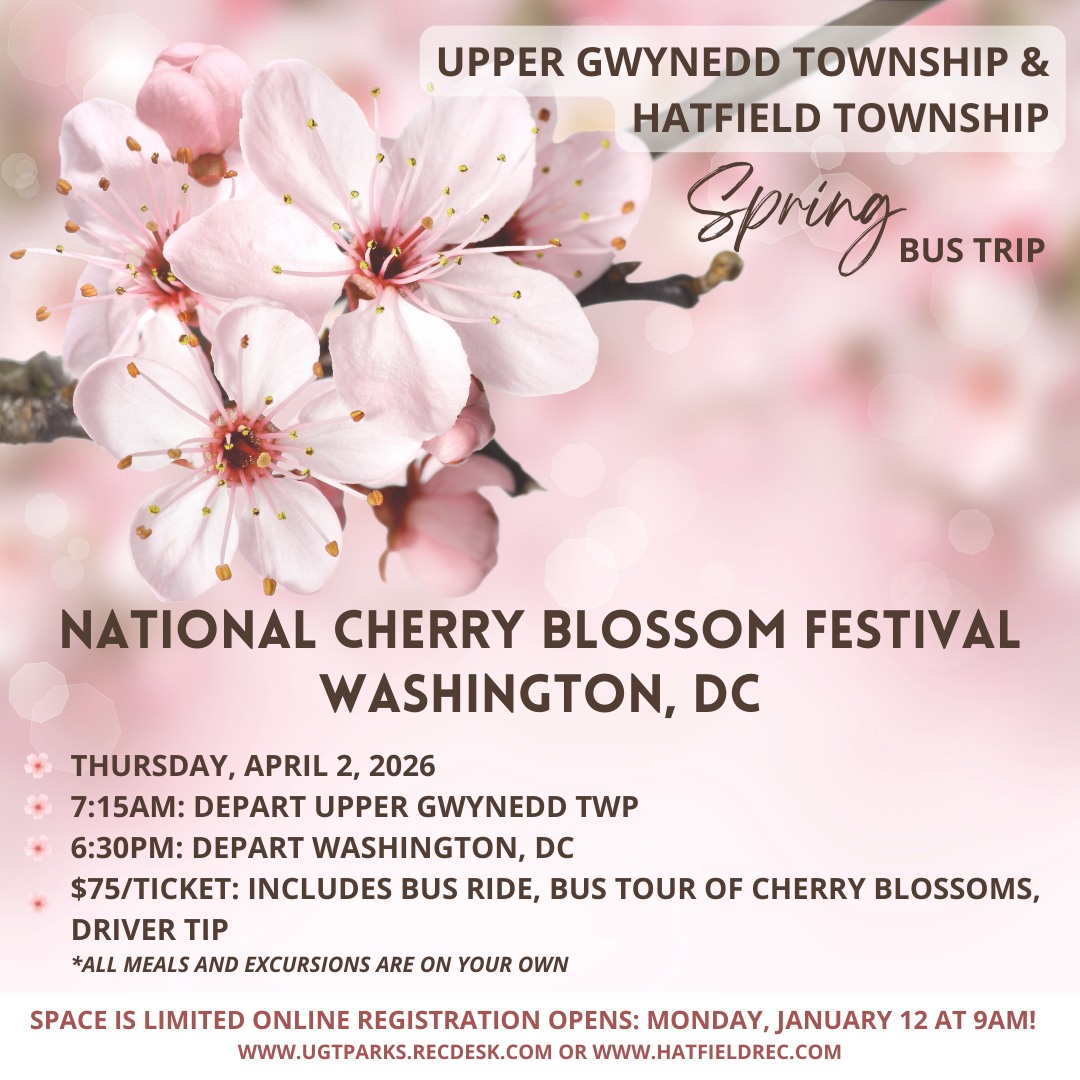 Cherry blossom bus trip