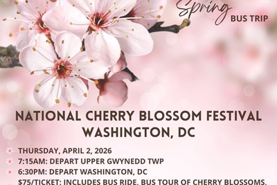 Cherry blossom bus trip