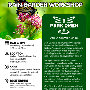 Rain Garden Workshop